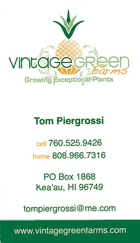 Business card for Tom Piergrossi, of Vintage Green Farms of Keaau, Hawaii